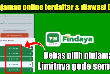 Tips Mendapatkan Persetujuan Pinjaman Online di Findaya