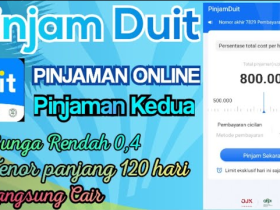 PinjamDuit Solusi Pinjaman Online Cepat dan Aman