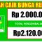 Pinjaman Online Cairin Solusi Pinjaman Online